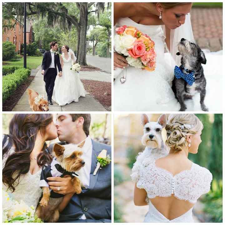 Les 12 photos les plus likées de cette semaine sur facebook: quelle est votre préférée ?