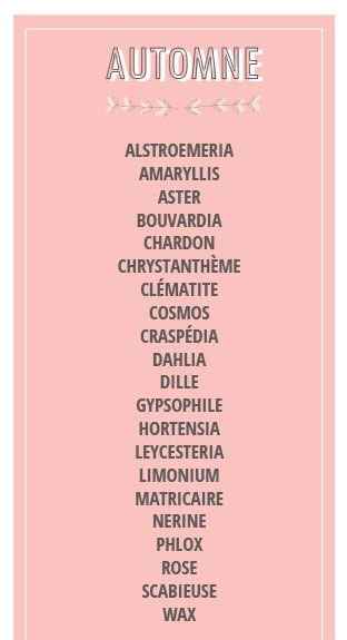 Liste fleurs d'automne mariage