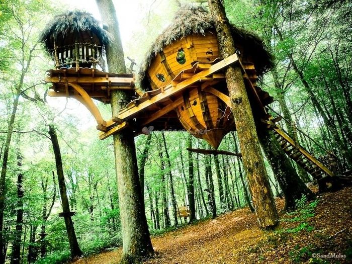 Cabane dans l'arbre pour lune de miel