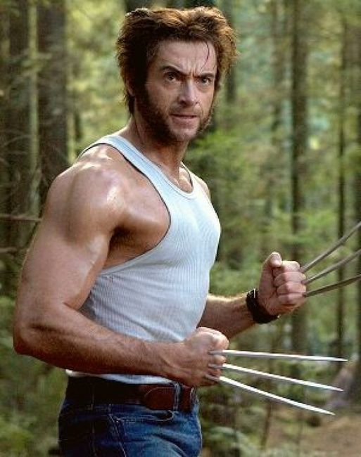 wolverine