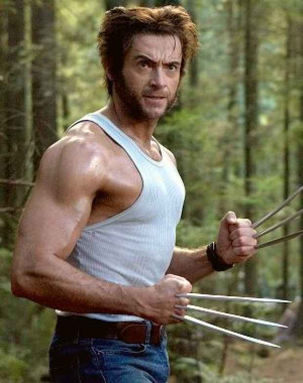 wolverine