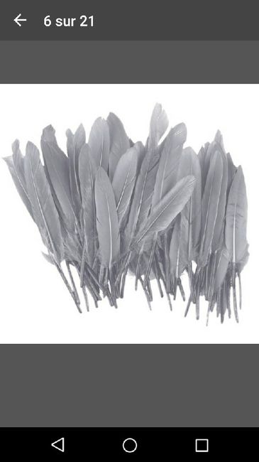 Thème plumes / bulles - 1