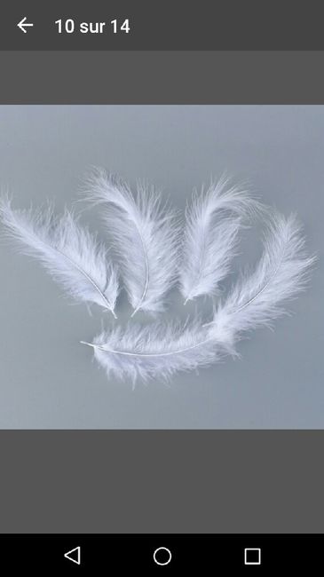 Thème plumes / bulles - 5