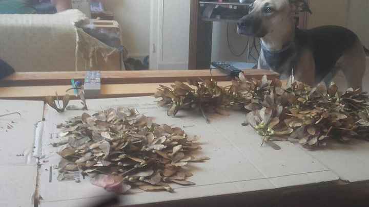 Que lancer à la sortie de la mairie ? - 1