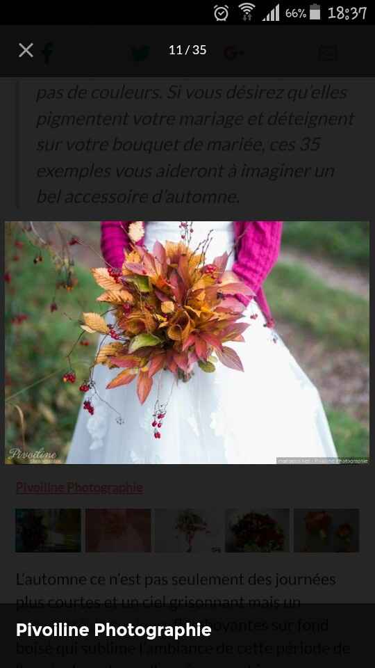 Quel bouquet pour un mariage en automne ? - 1