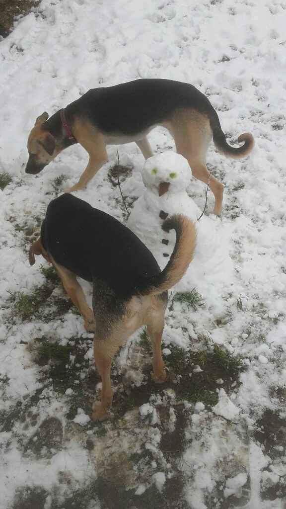 Comment s'est passé votre week-end? - 1