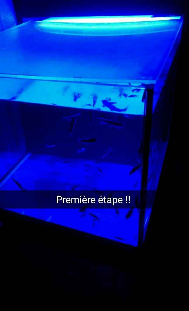 Aujourd'hui evjf 1er etape - 1