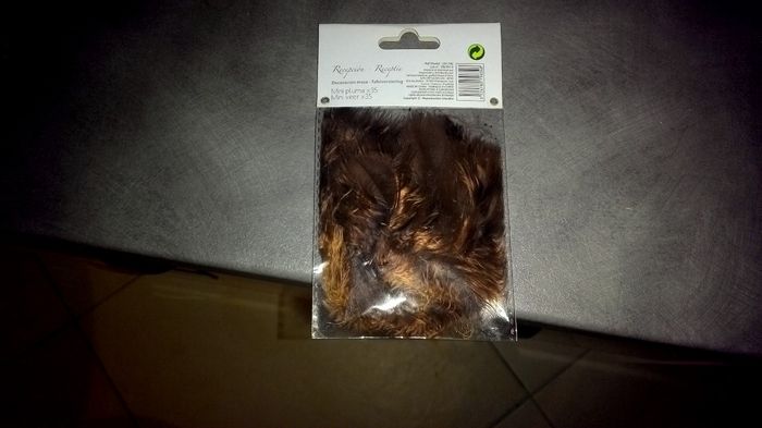 Des plumes pour mon chignon