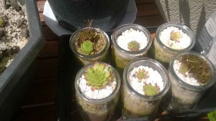 Petit cadeau aux invité