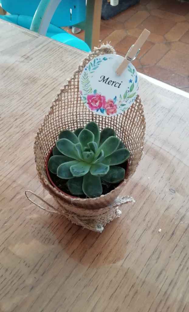 Mignonette  Et Succulente vos avis - 4