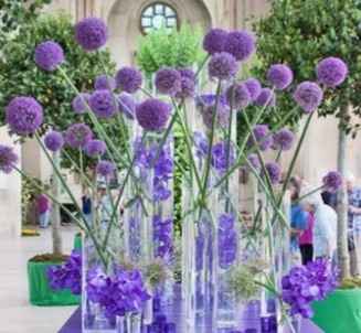 Inspi lila et parme - 12