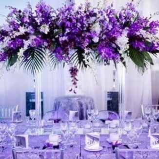 Inspi lila et parme - 14