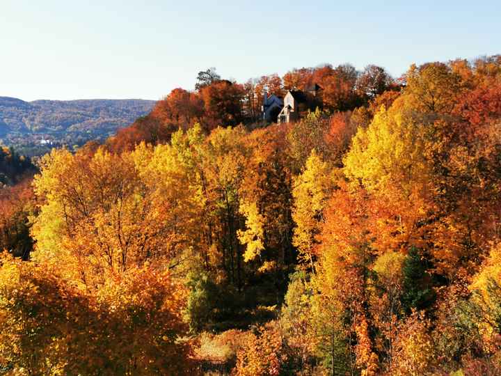 J'aimerais vous montrer quelques photos de mon mariage d'automne . - 13