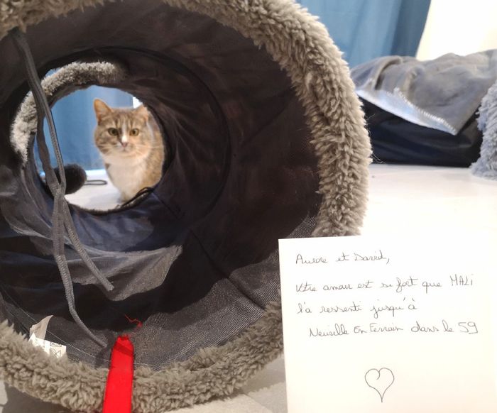 Love note animalier 15