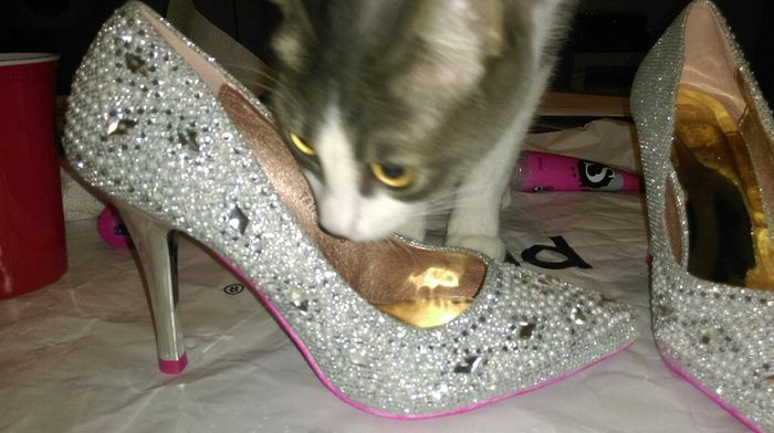 Où avez-vous acheté vos chaussures ? - 1