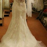 Robes de la créatrice australiennne Sophia Tolli - 2