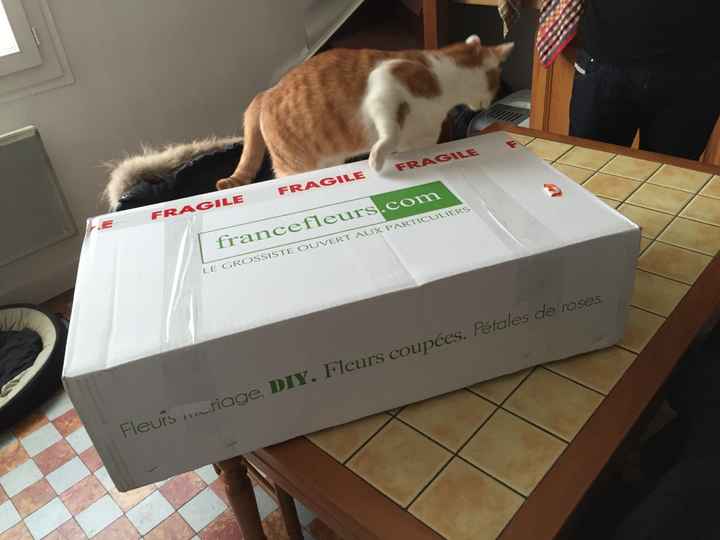 Site france fleurs - 1