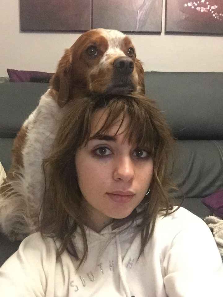 Votre petit compagnon - 1