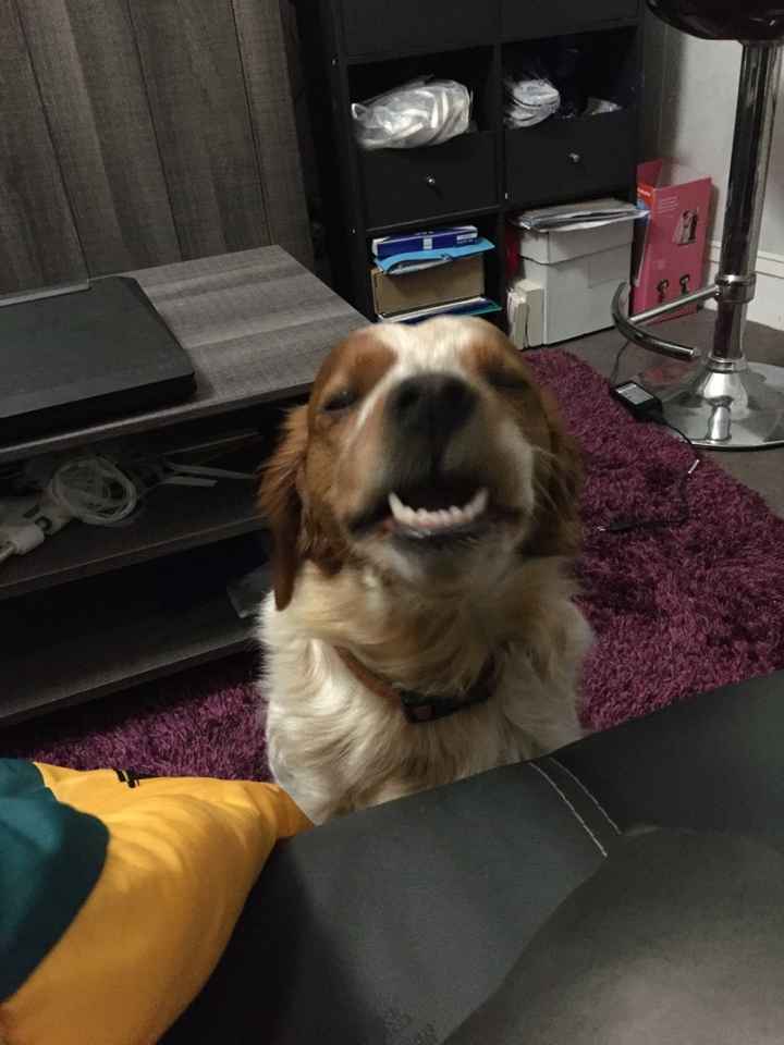 Mariage mariage ... la famille en a marre ! - 1