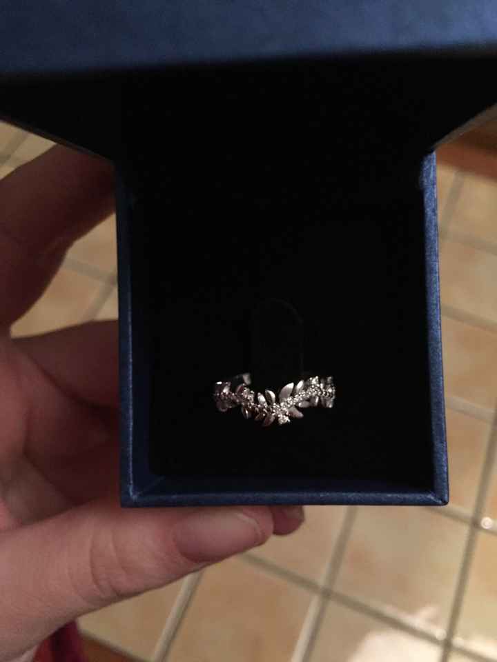 Alliance de secours ! - 1