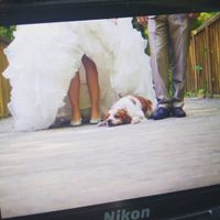 Premiere séance day after avec notre toutou 