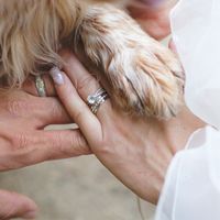 Pour ceux qui ont un chien - 2