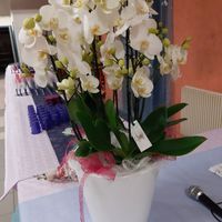 Ca y est, je suis Madame - 11