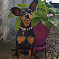 Animal, animaux, photos de nos chéris - 2