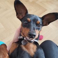 Animal, animaux, photos de nos chéris - 3