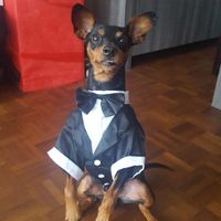 Pour ceux qui ont un CHIEN : le chien d'honneur !!! - 1