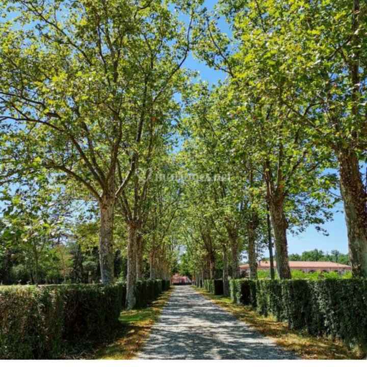 Votre lieu de réception - 5