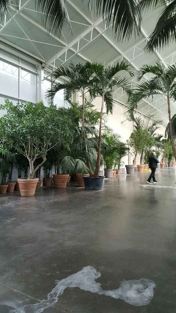 Ma salle de réception - 1