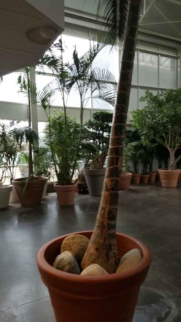 Ma salle de réception - 2