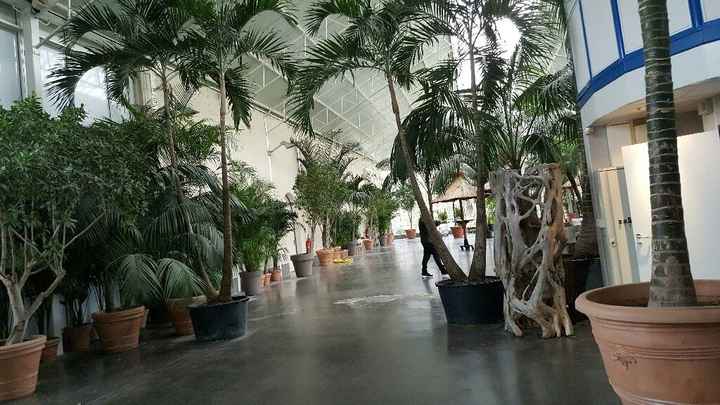 Ma salle de réception - 3