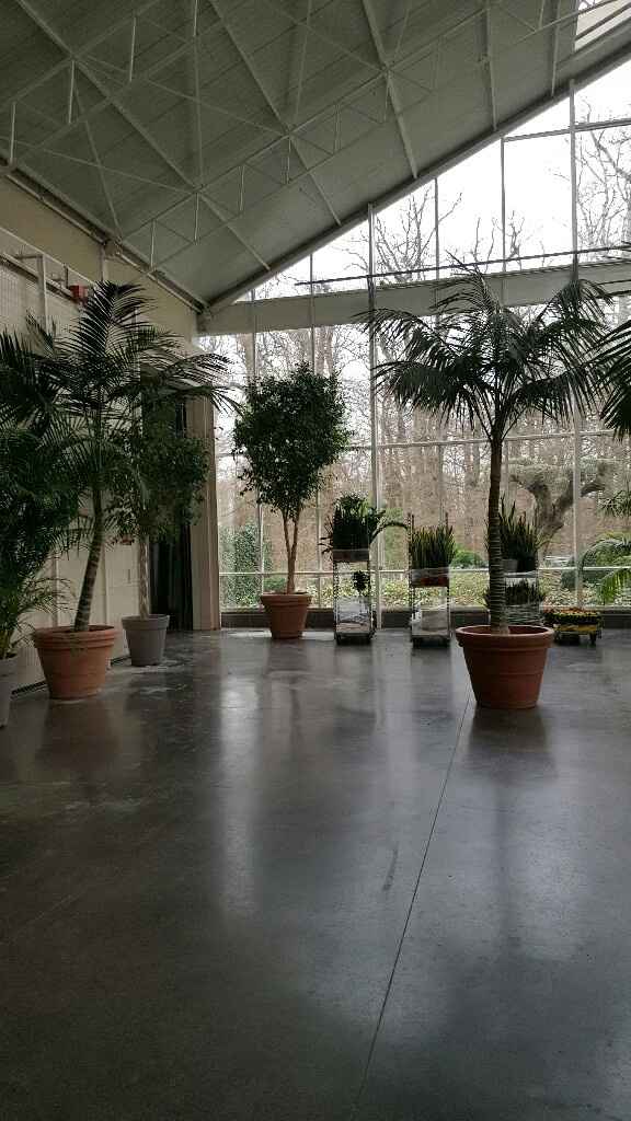 Ma salle de réception - 4