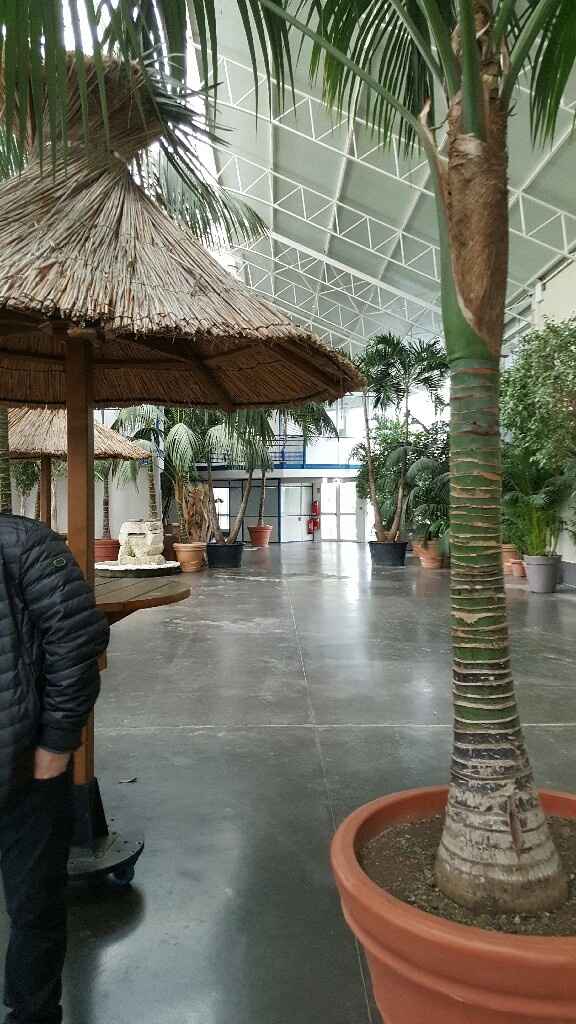 Ma salle de réception - 7