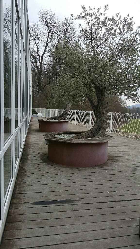 Ma salle de réception - 10