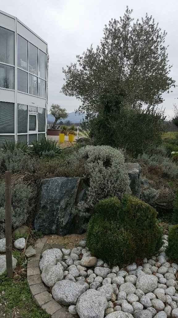 Ma salle de réception - 11