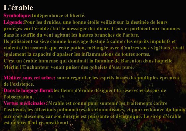 Planter un arbre le jour j - 2