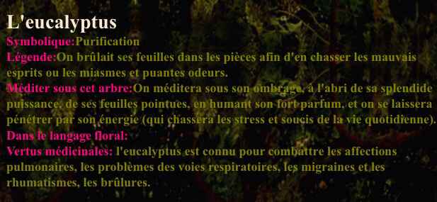 Planter un arbre le jour j - 1