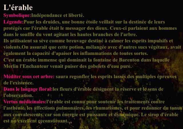 Planter un arbre le jour j - 2