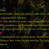 Planter un arbre le jour j - 1