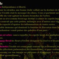 Planter un arbre le jour j - 2