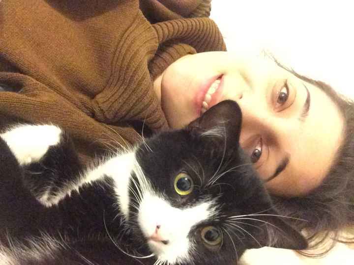  Mon petit bébé chat 😋 - 1