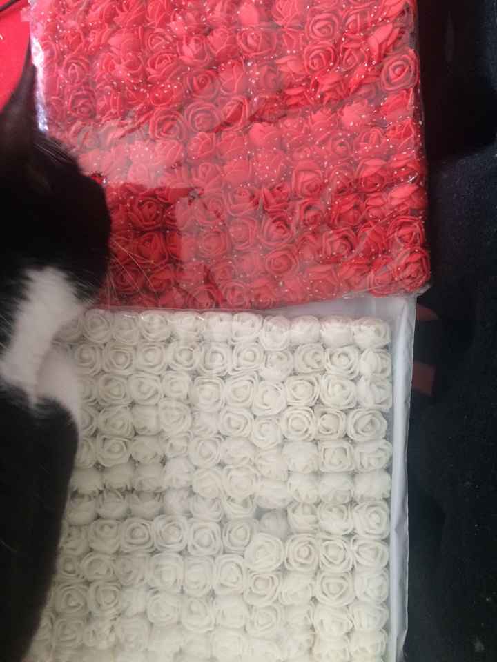  Colis reçu 😍😍 - 1