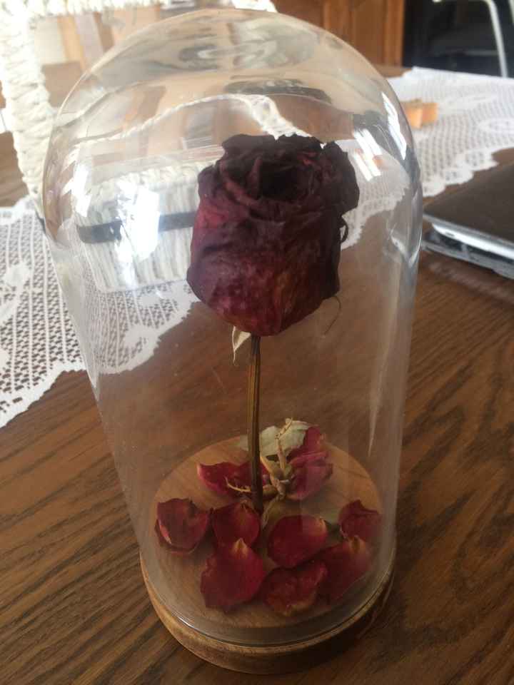  Rose belle et la bete - 1