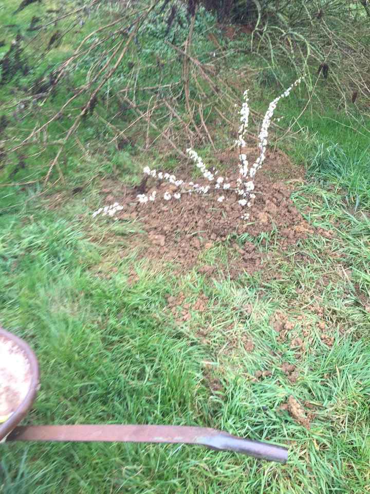 Grosse tristesse - 1
