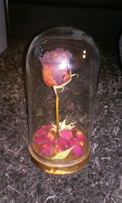 Un mariage sous cloche ! - 1