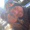 Ludo