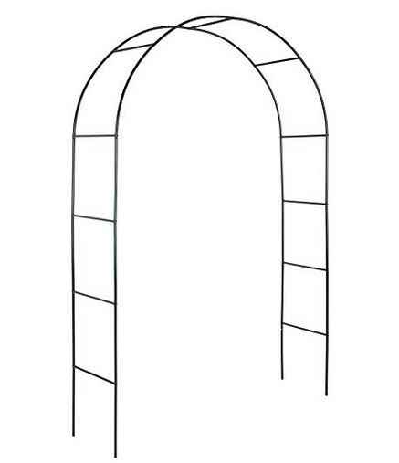 Arche
